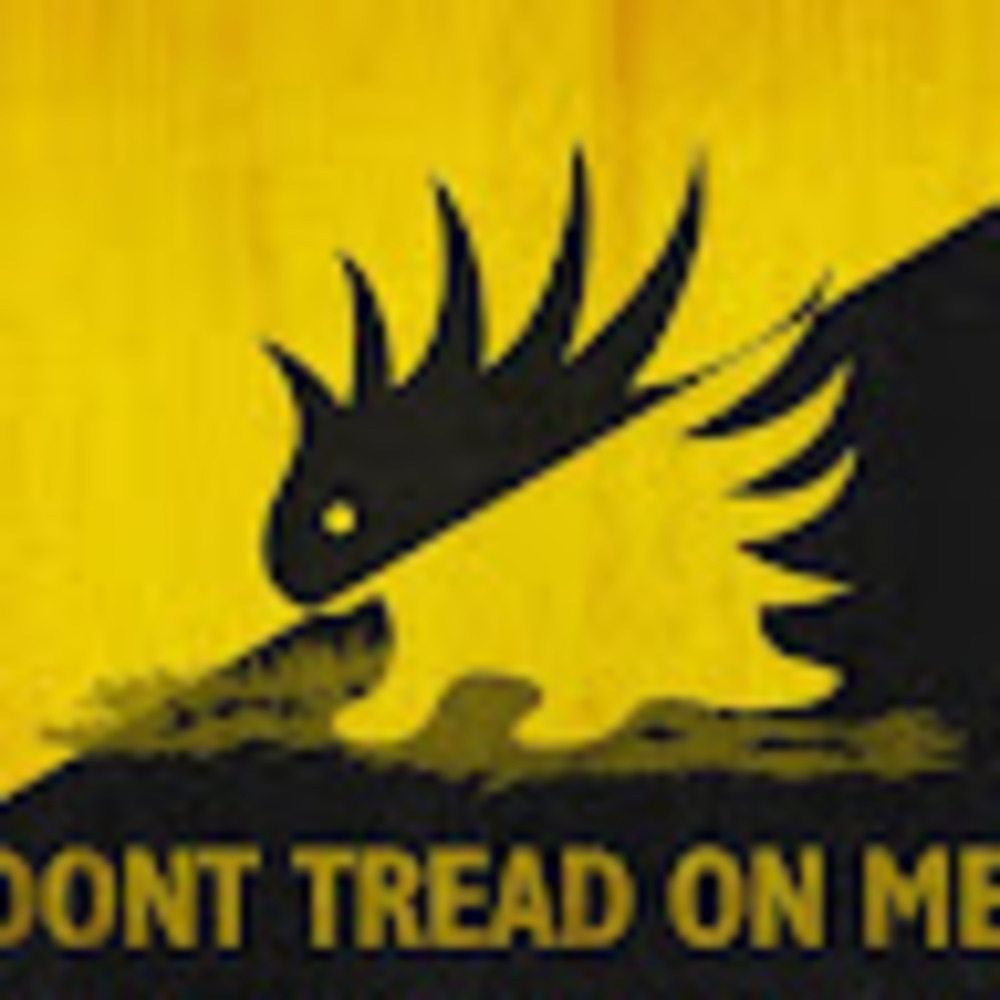 Meet your Posher, Gabe